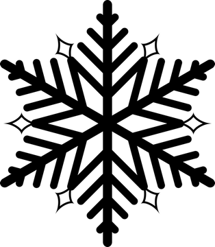 Black Six-Point Snowflake Symbol