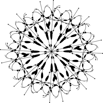 Black Radial Geometric Line Pattern
