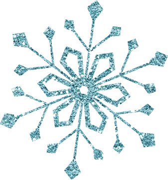 Turquoise Glitter Snowflake Design