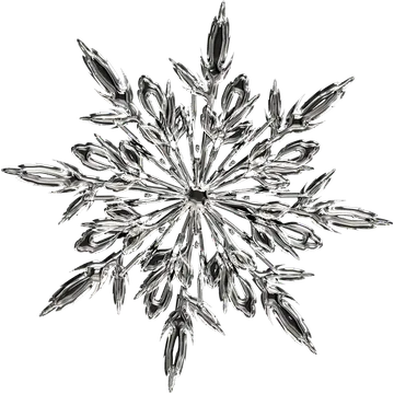 Intricate Silver Snowflake Illustration