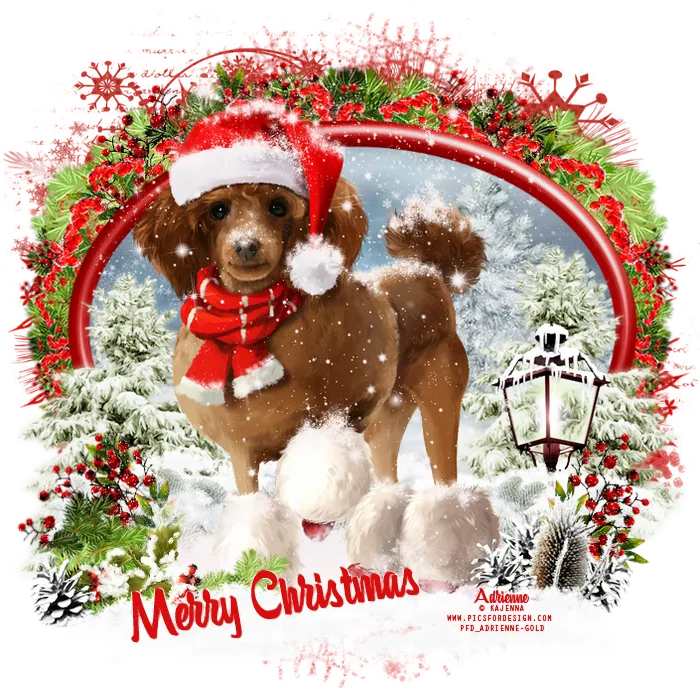 Christmas Dog in Santa Hat and Scarf