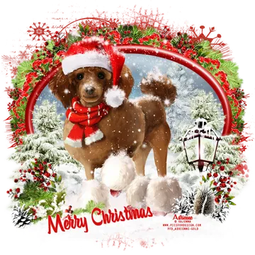 Christmas Dog in Santa Hat and Scarf