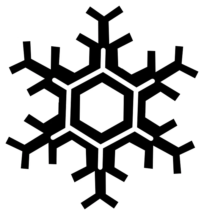 Black Geometric Snowflake Outline