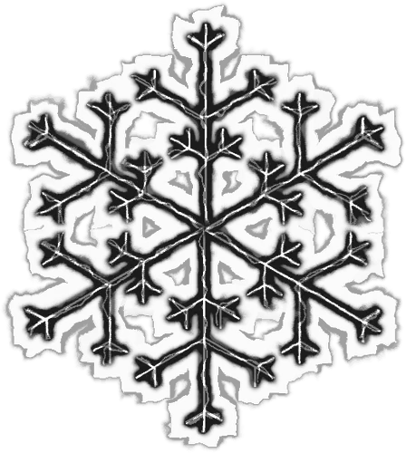 Black Snowflake Line Art Illustration