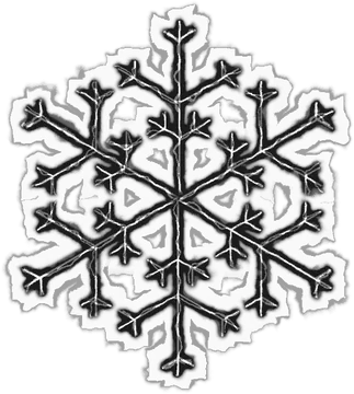 Black Snowflake Line Art Illustration